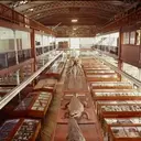 Logo of Wagner Free Institute of Science