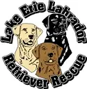 Logo of LAKE ERIE LABRADOR RETRIEVER RESCUE INC