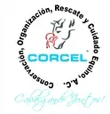 Logo de Fundación CORCEL, A.C.  (Conservación, Organización, Rescate y Cuidado Equino, A.C.)