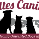 Logo of Sutter Buttes Canine Rescue