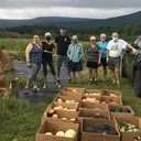 Logo of Think We, Not Me Community Food Growing Program