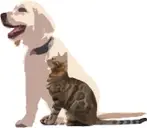Logo of Paws For Life Animal Rescue an FCHS Program