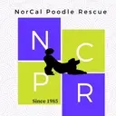Logo of NORCAL POODLE RESCUE
