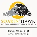 Logo of SOARIN HAWK RAPTOR REHABILITATION INC