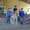 Logo of St. Andrews University's Ride Like A Knight Therapeutic Riding Program