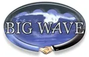 Logo of BIG WAVE GROUP