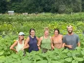Logo de North Tabor Farm