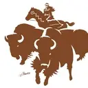Logo of TEXAS TRIBAL BUFFALO PROJECT