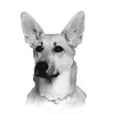 Logo of Winnipeg Pet Rescue Shelter