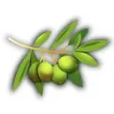 Logo de Olive Support Services