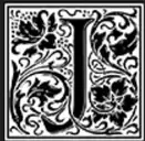 Logo of Foundation of the Neo Renaissance