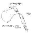 Logo of IMPERFECT YET DO WHAT U CAN