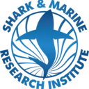 Logo of White shark diving company