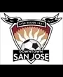 Logo of AYSO Region 1631 (Downtown San Jose)