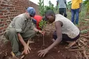 Logo of The Fruit Tree Planting Foundation