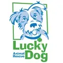Logo of Lucky Dog Animal Rescue