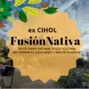 Logo de Fusión Nativa