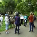 Logo of FRIENDS OF SEATTLES OLMSTED PARKS
