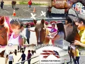 Logo de Dream Catcher of L.A. Therapeutic Riding Centers