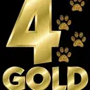 Logo of 4GOLD SERVICE AND RESCUE