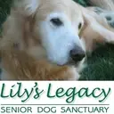 Logo of Lily's Legacy Senior Dog Sanctuary