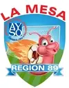 Logo of American Youth Soccer Organization Region 89
