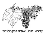Logo of Washington Native Plant Society
