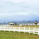 Logo of Shining Hope Farms - Conover