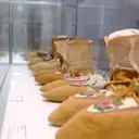 Logo of Amelia Douglas Metis Institute Society