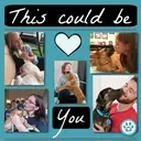 Logo of To Love a Canine Rescue, Inc.