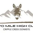 Logo of TWO MILE HIGH CLUB