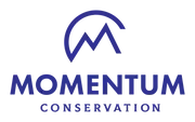 Logo of Momentum Conservation