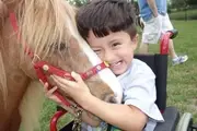 Logo of Personal Ponies, Ltd