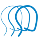 Logo of Brain Injury Association of New York State