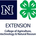 Logo de UNR, Extension