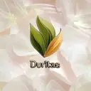 Logo of Duritas Ministries Foundation