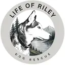 Logo of Life of Riley Dog Rescue