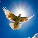 Logo of SPIRIT OF THE LORD OUTREACH MINISTRIES