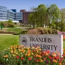 Logo of Brandeis University Memory and Cognition Lab