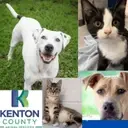 Logo of Kenton County Animal Shelter