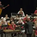 Logo of THE WASHINGTON BALALAIKA SOCIETY INC