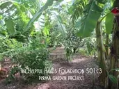 Logo of The Helpful Hands Foundation