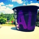 Logo of ALS IN WONDERLAND Foundation