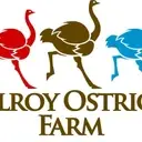 Logo of OSTRICH ASSOCIATION INC