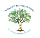 Logo of Briarcliff Nursery School