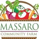 Logo of MASSARO COMMUNITY FARM INC