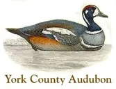Logo de York County Audubon - A Chapter of Maine Audubon