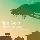 Logo of TIBA FOUNDATION