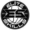 Logo of ELITE SKILLS