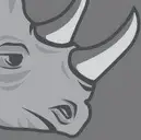 Logo of KaizenRhino Solutions International